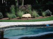 Landscaping Design in CT