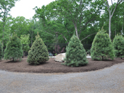 Landscaping Design in CT