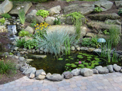 Water Features CT