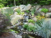 Water Features CT